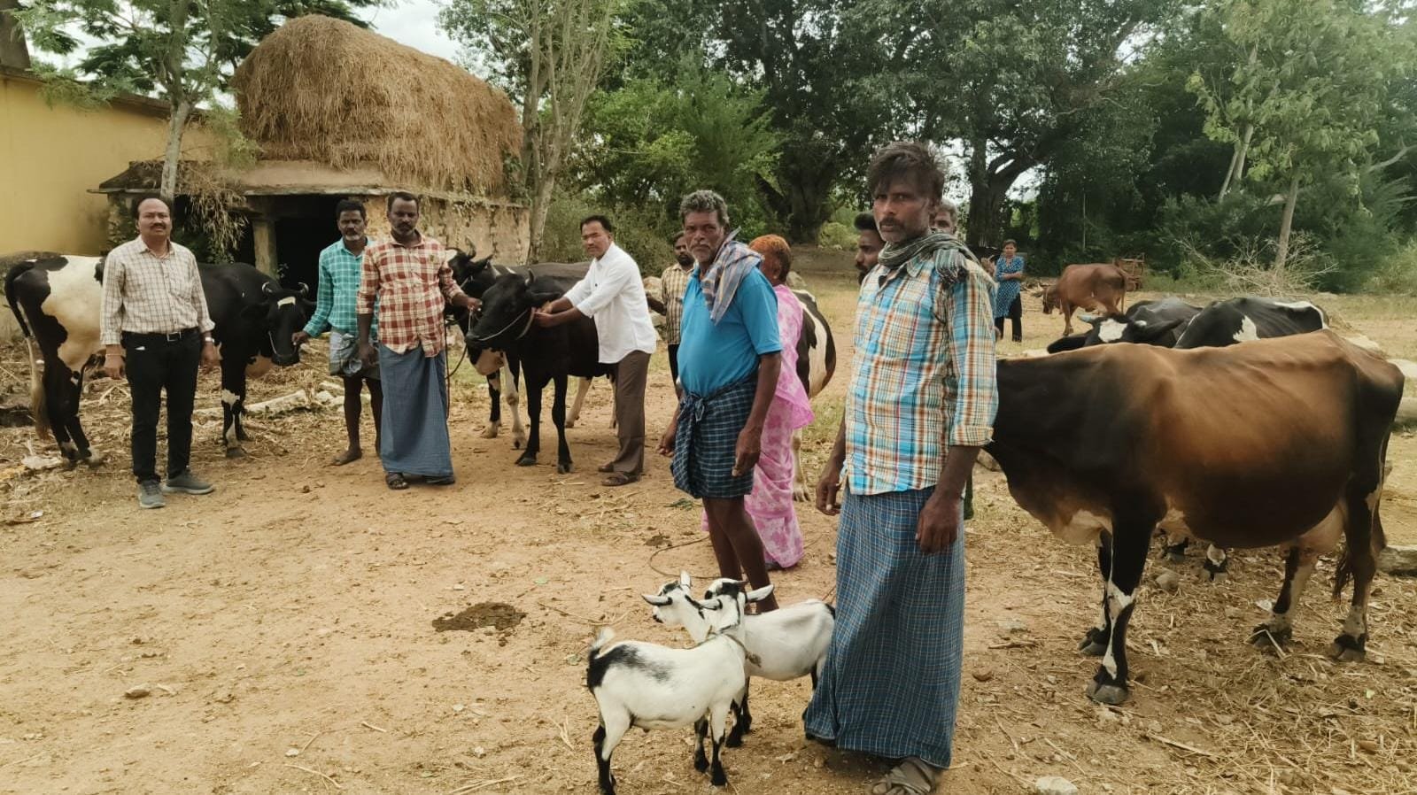 లంపిస్కిన్ నివారణ టీకాల కార్యక్రమం ప్రారంభం