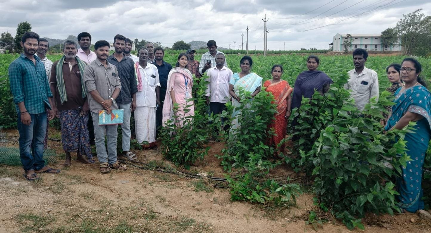 గడ్డంవారిపల్లిలో ‘మేరా రేషమ్–మేరా అభియాన్’